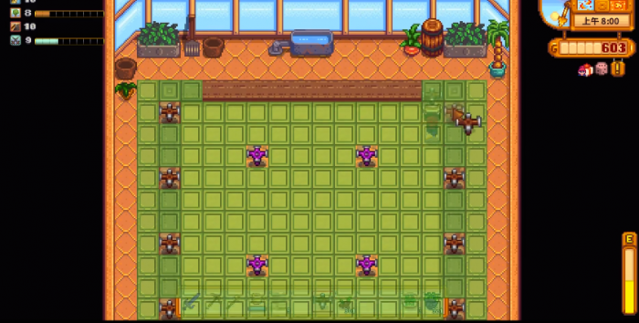 星露谷物语打鸟有什么用3