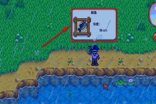 星露谷物语中怎么走到法师塔1