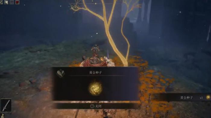 艾尔登法环黄金种子怎么获得2