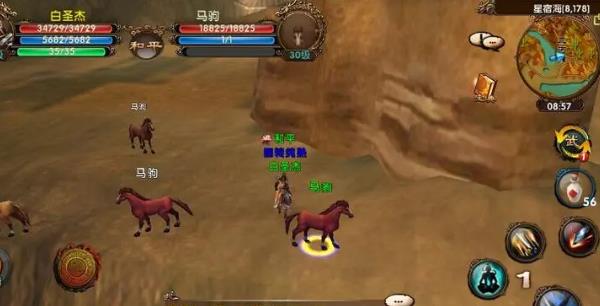 卧虎藏龙黑马哪里抓_卧虎藏龙白龙马哪里抓