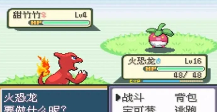 口袋妖怪火红钥匙卡片在哪1