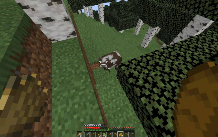 我的世界怎么养牛2