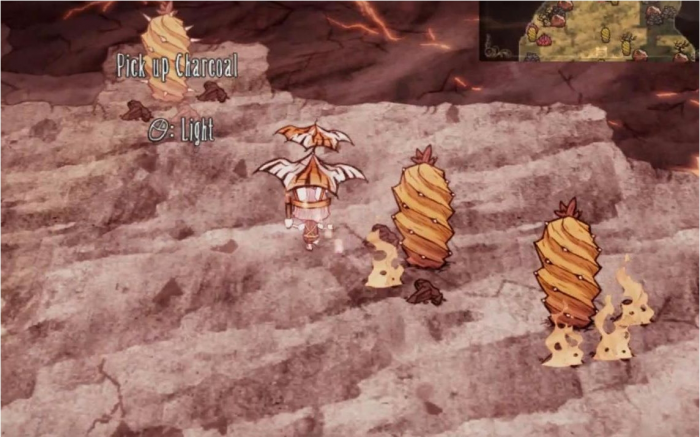 饥荒仙人掌怎么种植_饥荒仙人掌多久长出来