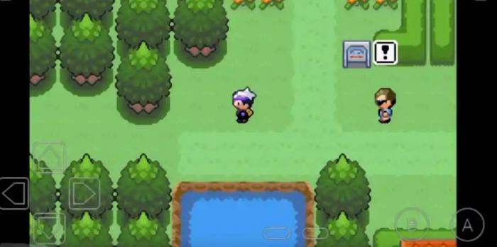 口袋妖怪漆黑的魅影怎么快速升级1