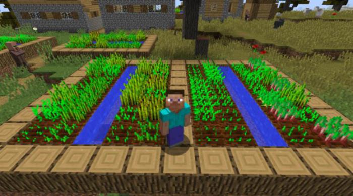 我的世界如何让村民种田生存3