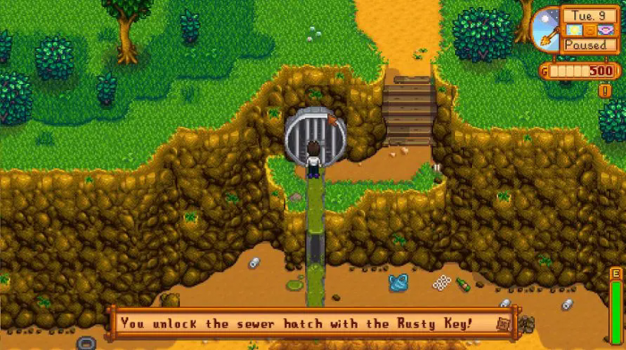 星露谷物语鹈鹕镇有哪些建筑3