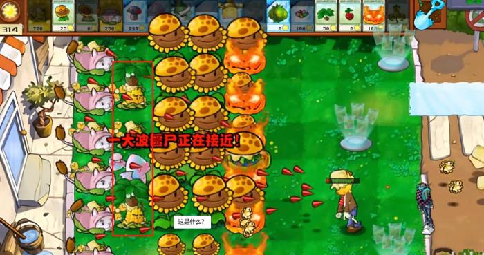 《植物大战僵尸杂交版》新植物星光闪卡玉米旋转机介绍4