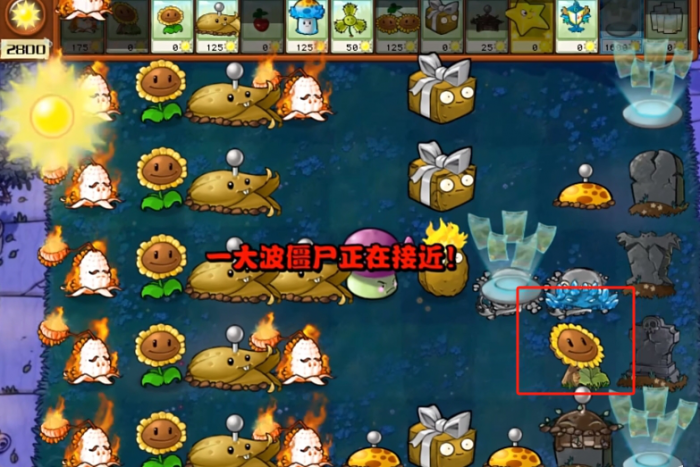 《植物大战僵尸杂交版》8