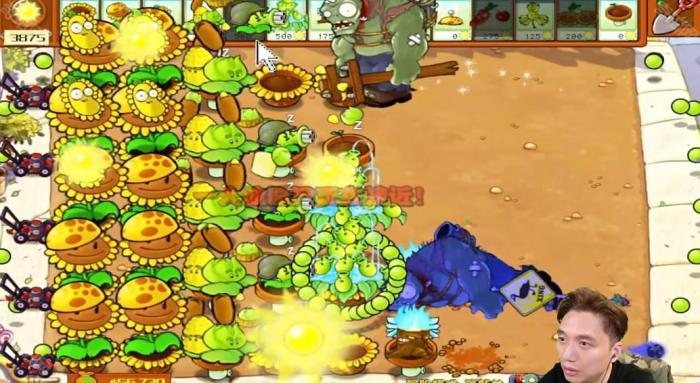 《植物大战僵尸杂交版》冒险模式第25关通关攻略6
