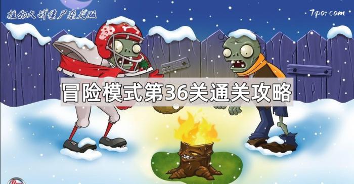 《植物大战僵尸杂交版》冒险模式第36关通关攻略1