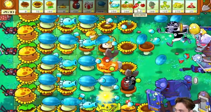 《植物大战僵尸杂交版》冒险模式第36关通关攻略6