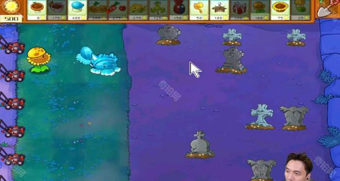 《植物大战僵尸杂交版》冒险模式第60关通关攻略2