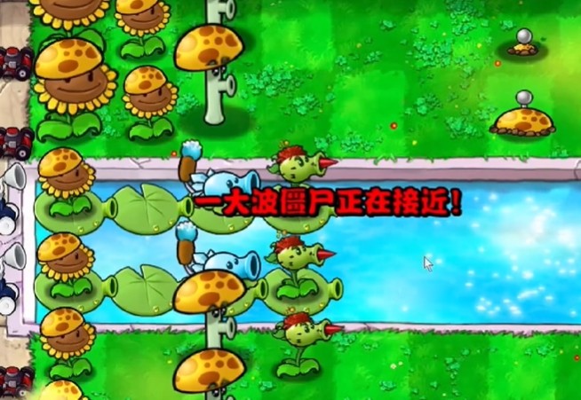 《植物大战僵尸杂交版》冒险模式第12关通关攻略4