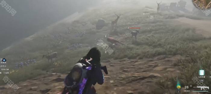 《七日世界》食材获得方法2