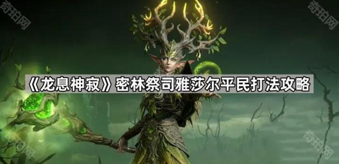 龙息神寂密林祭司雅莎尔平民打法攻略_龙息神寂平民角色搭配大全