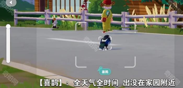 《心动小镇》新春报喜鸟拍照位置一览3