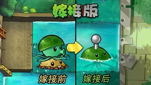 《植物大战僵尸嫁接版》新植物水雷介绍1