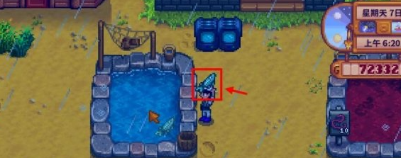 星露谷物语鲟鱼去哪钓5