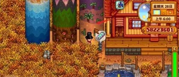 星露谷物语翡翠怎么兑换楼梯3