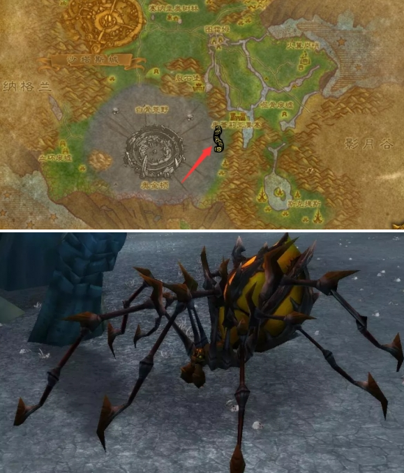 魔兽世界泰罗卡森林蜘蛛宝宝在哪抓3