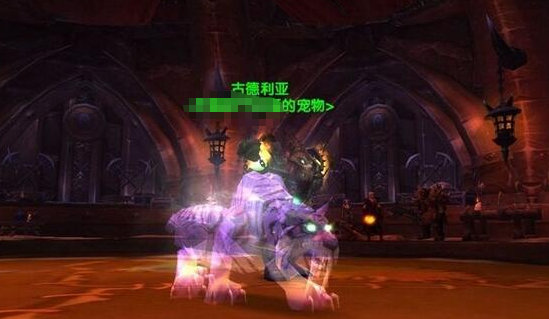 魔兽世界诺森德猎人稀有宠物有哪些5