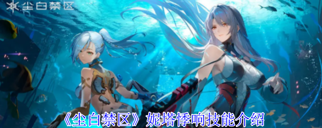 尘白禁区妮塔悸响有什么技能1