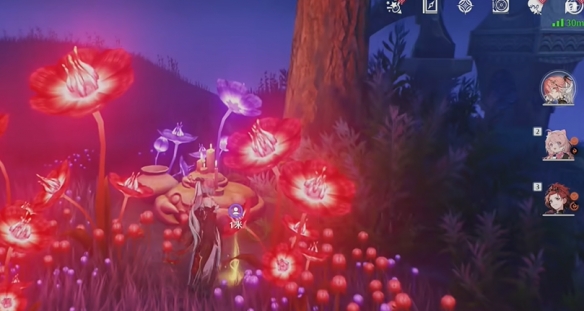 鸣潮幽夜幻梦任务怎么做5