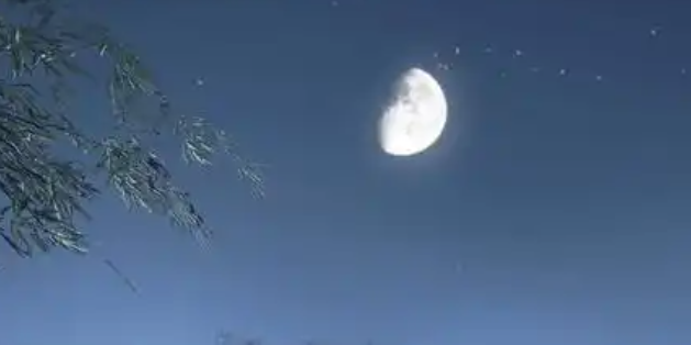 逆水寒手游童稚之交怎么过_逆水寒手游藏宝阁