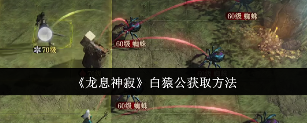 龙息神寂白猿公怎么获取1