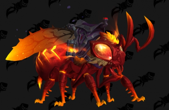 魔兽世界爱蜂人士任务怎么做1