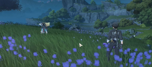 鸣潮愿此景永留你心任务怎么做9