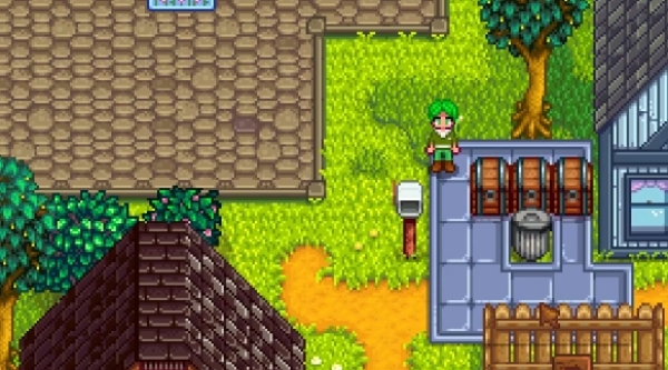 星露谷物语芒果树种哪里3