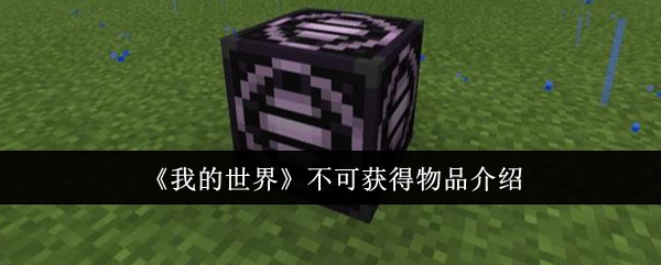 我的世界不可获得物品有哪些1