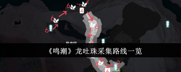 鸣潮龙吐珠采集路线是什么1