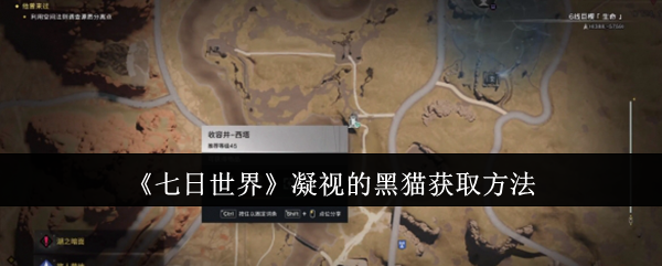 七日世界凝视的黑猫怎么获取1