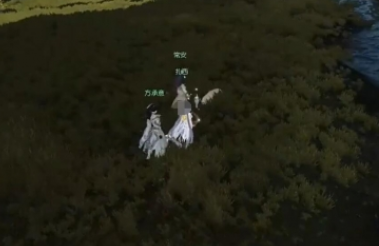 逆水寒手游亚丁格桑奇遇怎么做4