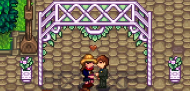 星露谷物语武器店武器买哪个_星露谷物语联机版