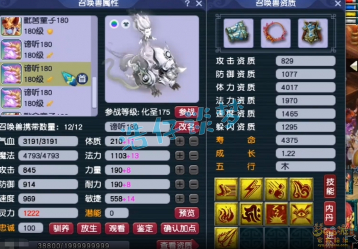 梦幻西游服战五庄观面板展示18