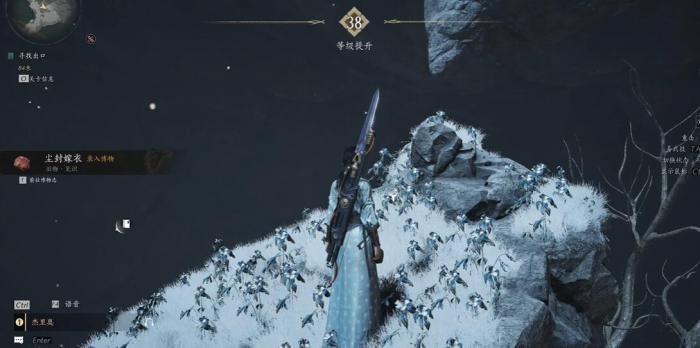 燕云十六声尘封嫁衣博物怎么获得6