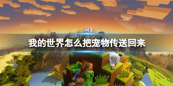我的世界怎么把宠物传送回来_我的世界宠物怎么带走 我的世界怎么把宠物传送回来_我的世界宠物怎么带走