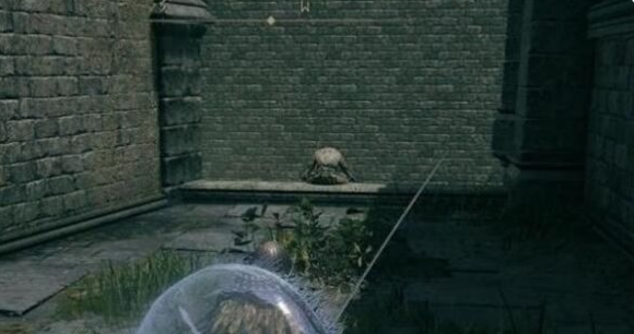 艾尔登法环地下希芙拉河狼哥在哪1