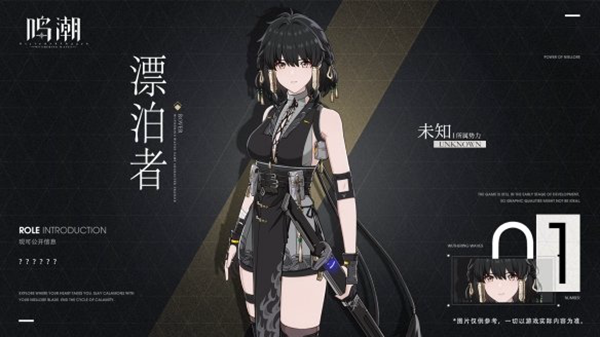 鸣潮漂泊者阵容怎么搭配2