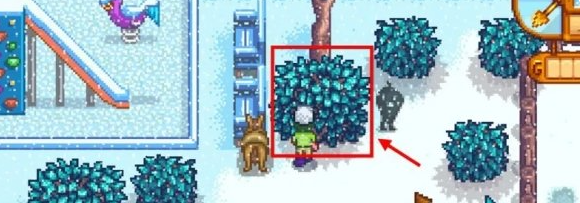 星露谷物语冬日谜团任务怎么做2