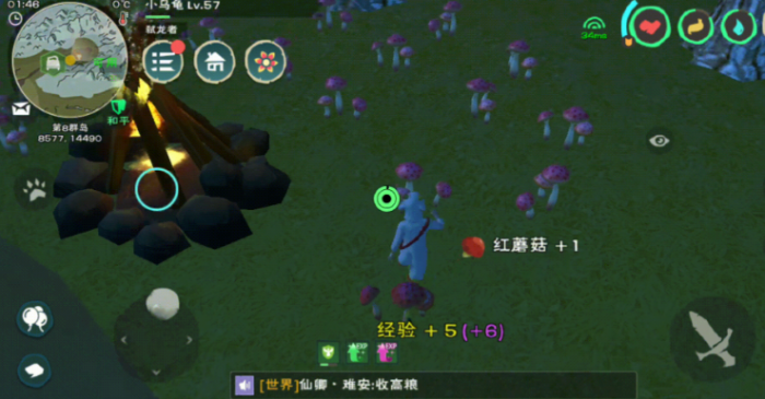 创造与魔法红蜥蜴饲料怎么做1