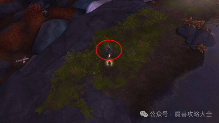 魔兽世界先祖战熊怎么获得4