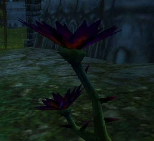 魔兽世界plus泰坦合剂怎么获得3