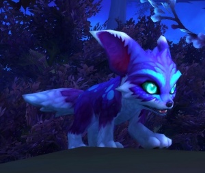 《魔兽世界》小石哪里刷2