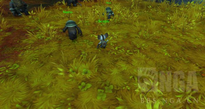 魔兽世界走丢的豺狼人宝宝任务攻略15