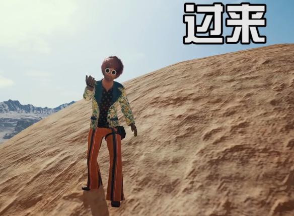 《绝地求生》表情大全11