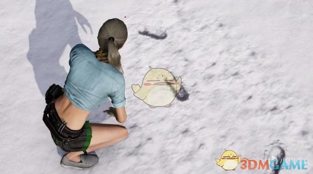 《绝地求生》雪地地图隐藏脚印方法16